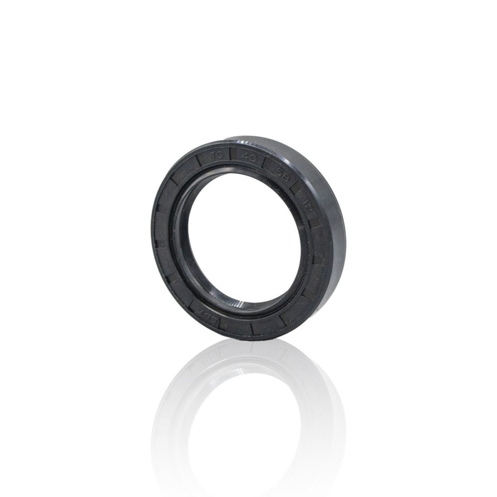 Taiwan Oil Seal ( SS )